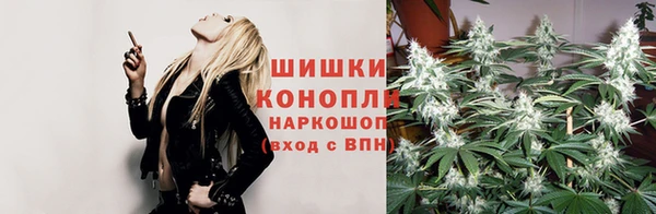 гидра Волоколамск