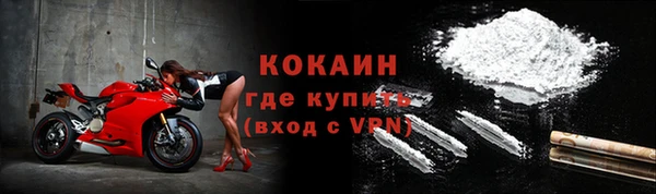 ПСИЛОЦИБИНОВЫЕ ГРИБЫ Верея